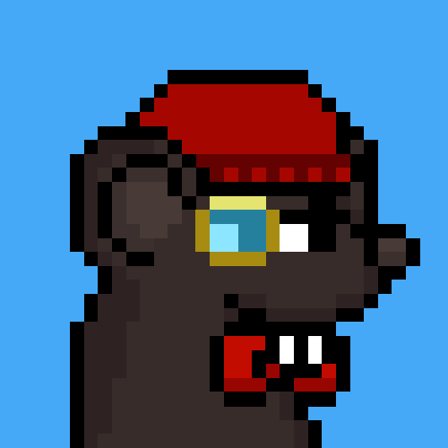 rats: 1681
