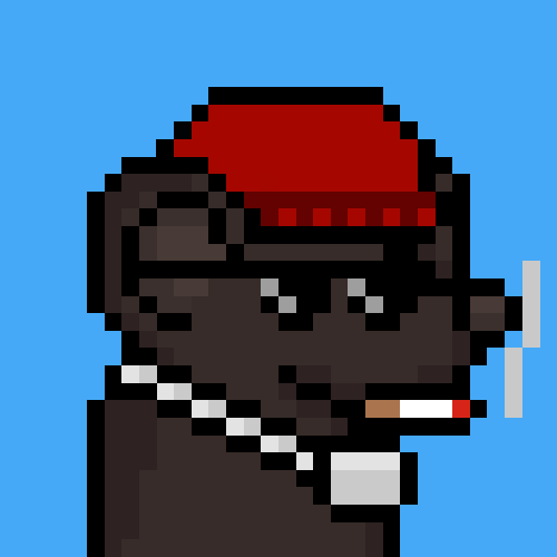 rats: 843