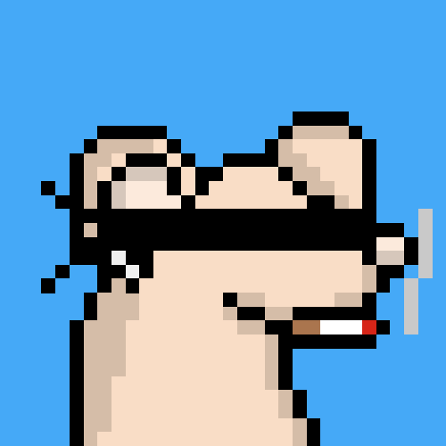 rats: 5404