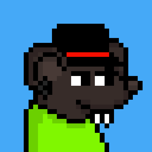 rats: 9559
