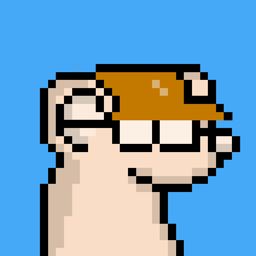 rats: 6467