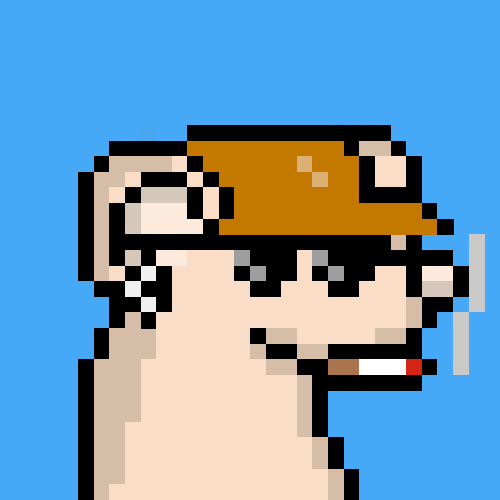 rats: 1243