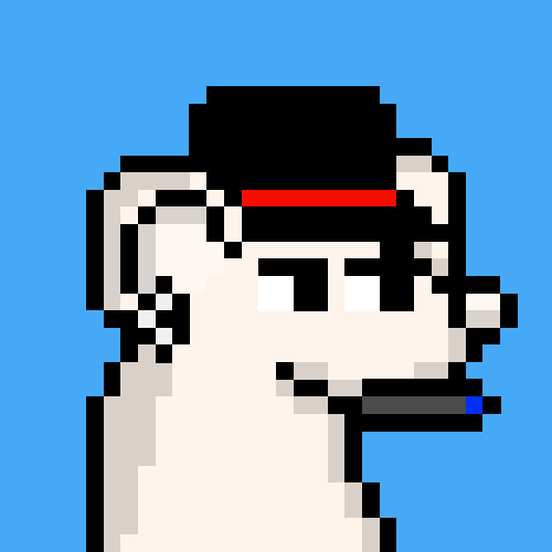 rats: 508