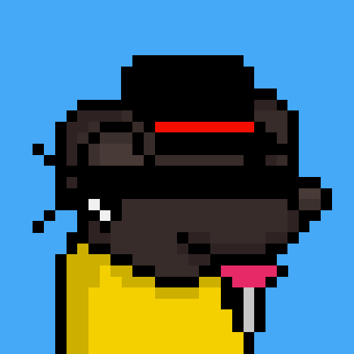 rats: 9464